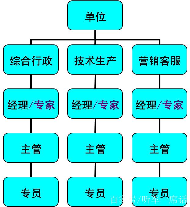 体系专员如何规划职业发展路径？-第2张图片-指南针培训网