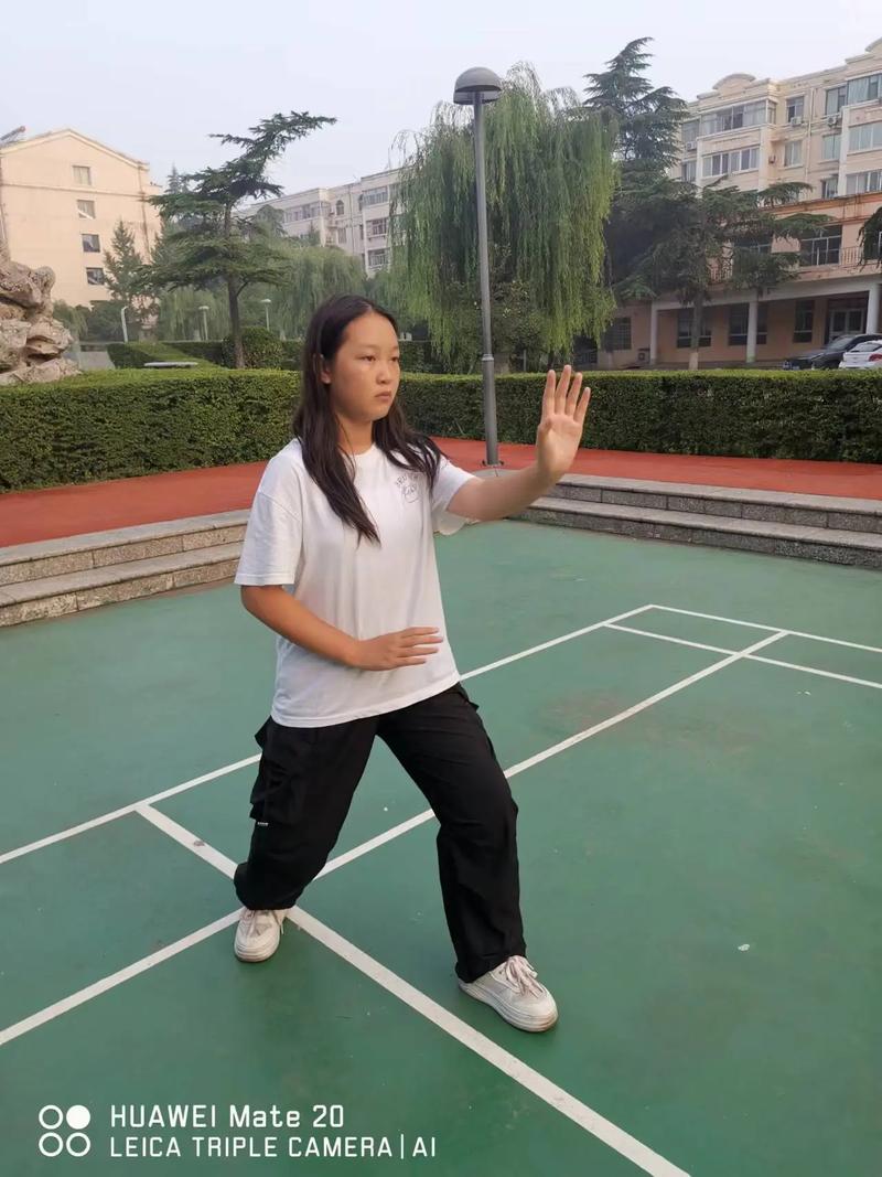 三体式站桩能不能自学-第3张图片-指南针培训网 三体式站桩能不能自学-第3张图片-指南针培训网