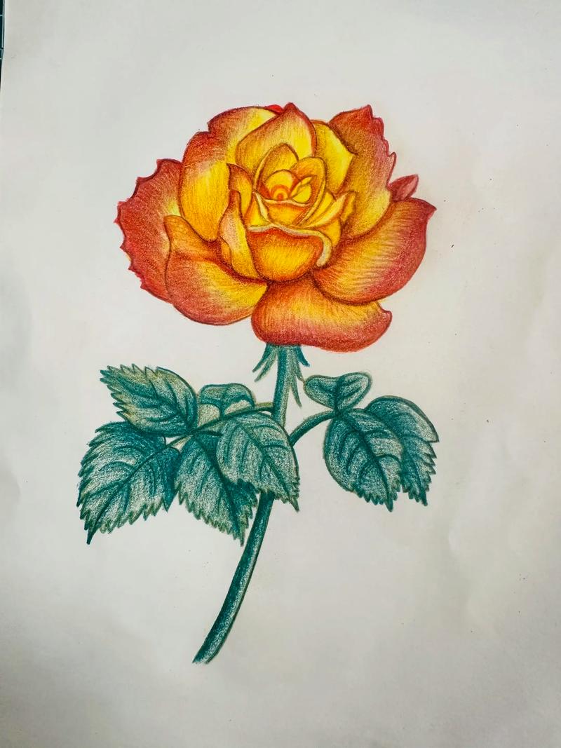 自学彩铅画要准备什么-第1张图片-指南针培训网