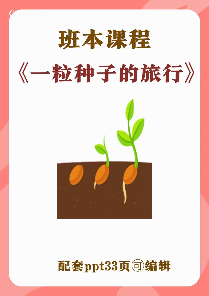 幼儿园种植课程如何孕育成长故事？-第1张图片-指南针培训网