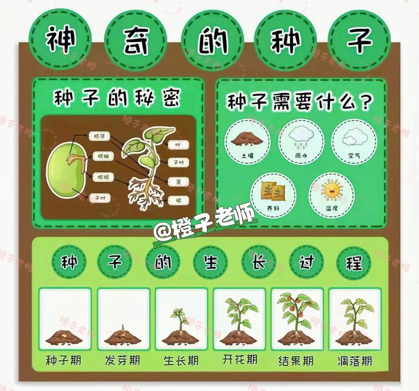 幼儿园种植课程如何孕育成长故事？-第3张图片-指南针培训网