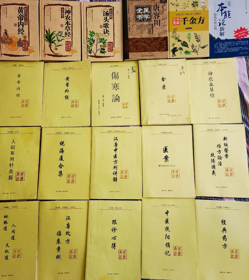 如何自学中医看什么书-第3张图片-指南针培训网