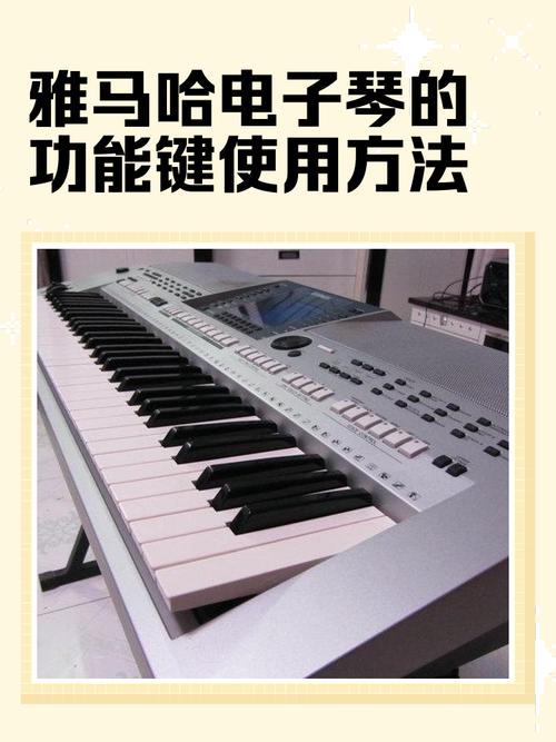 脚踏风琴自学入门教程该怎么学?-第2张图片-指南针培训网 脚踏风琴自学入门教程该怎么学?-第2张图片-指南针培训网