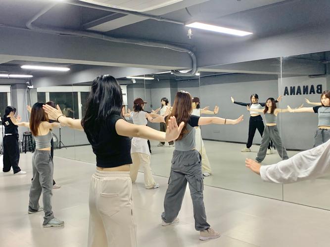 热舞教学视频适合自学-第1张图片-指南针培训网 热舞教学视频适合自学-第1张图片-指南针培训网