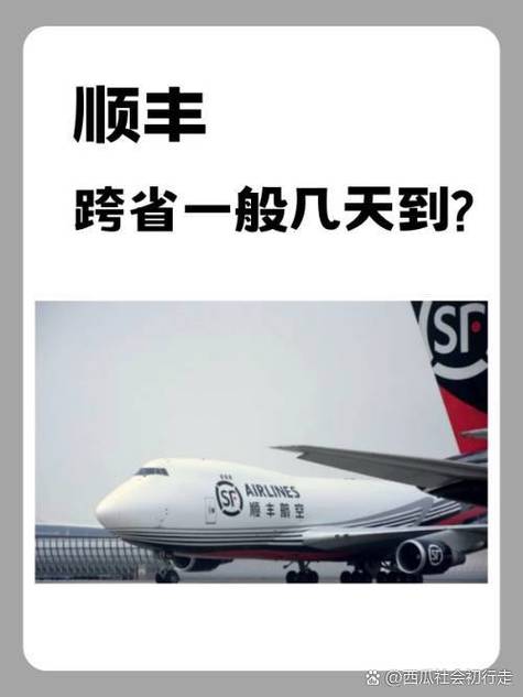 顺丰职业发展四通道具体指哪四条?-第1张图片-指南针培训网 顺丰职业发展四通道具体指哪四条?-第1张图片-指南针培训网