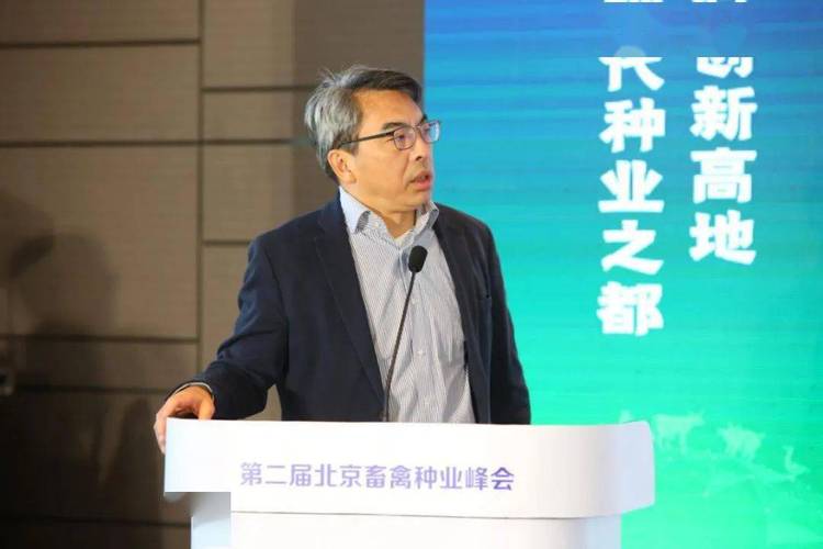 广东学前教育杨宁教授有何教育理念？-第1张图片-指南针培训网