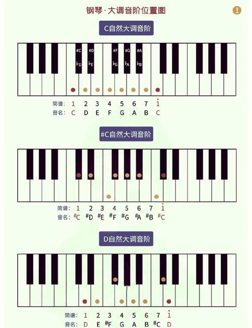老年钢琴自学，入门教程该怎么选？-第1张图片-指南针培训网