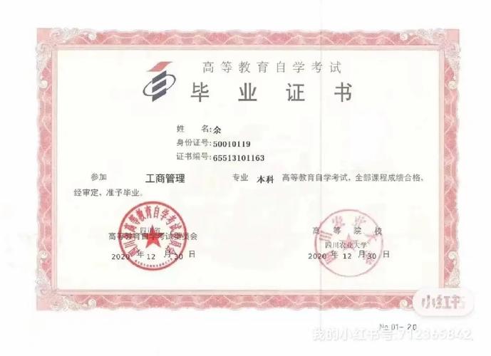 国家高等教育自学考试是什么？-第2张图片-指南针培训网