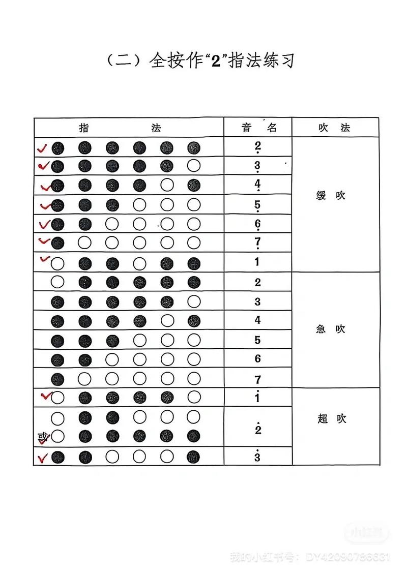 笛子自学入门视频教程该怎么学？-第3张图片-指南针培训网