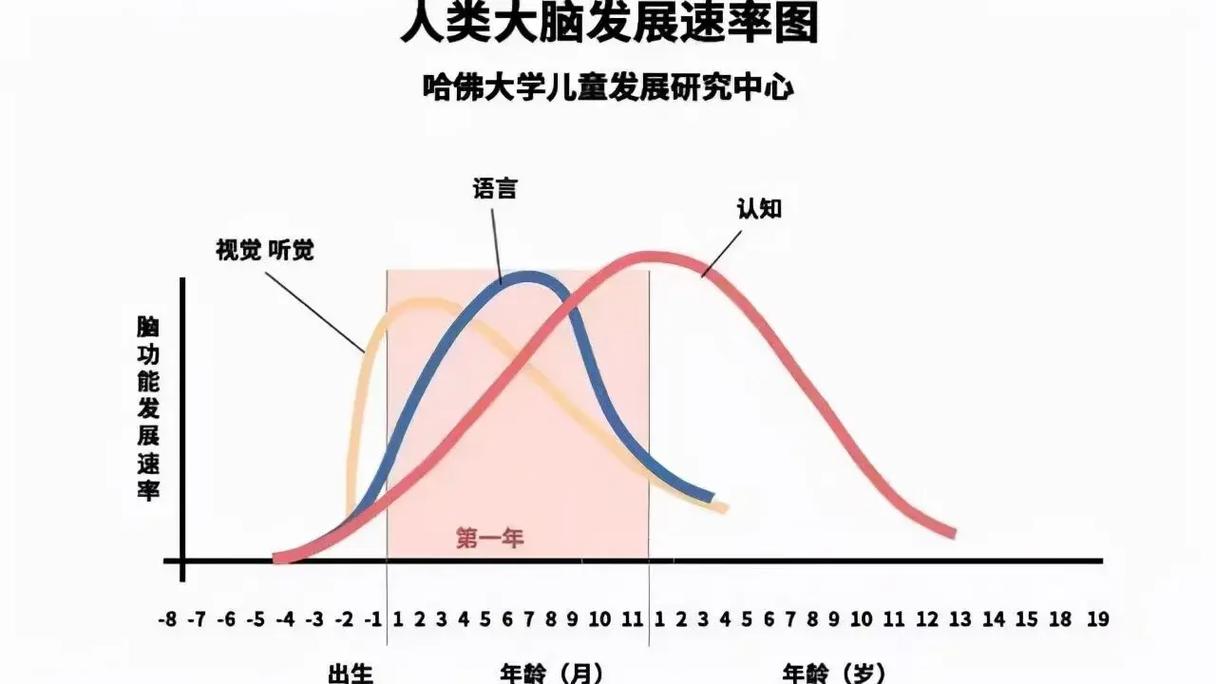 学前儿童思维发展有何规律？-第3张图片-指南针培训网