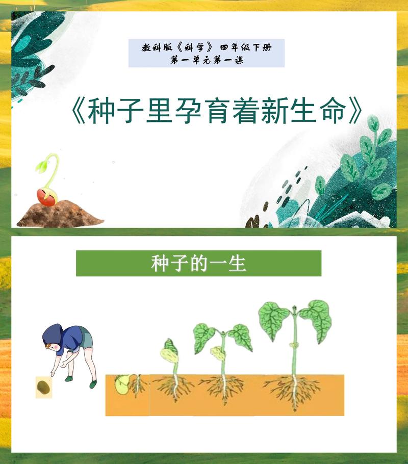 学前儿童科学教育课件如何科学设计？-第1张图片-指南针培训网