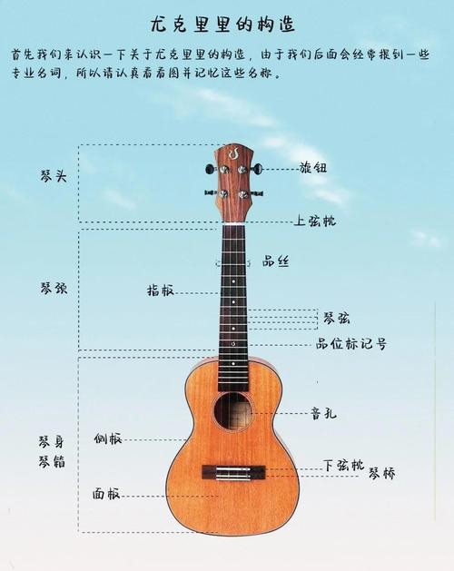 自学尤克里里入门，从哪开始学？-第2张图片-指南针培训网