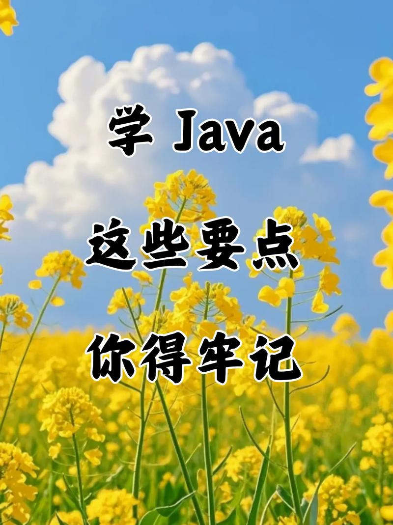 Java自学能学会吗？-第3张图片-指南针培训网