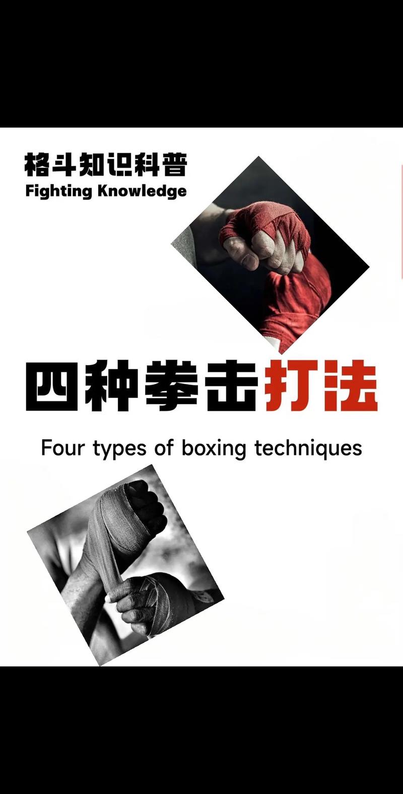 自学拳击视频教程全集能学会实战吗？-第1张图片-指南针培训网