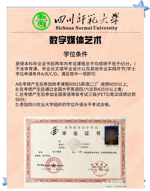 新媒体艺术课程学到了哪些核心内容？-第1张图片-指南针培训网