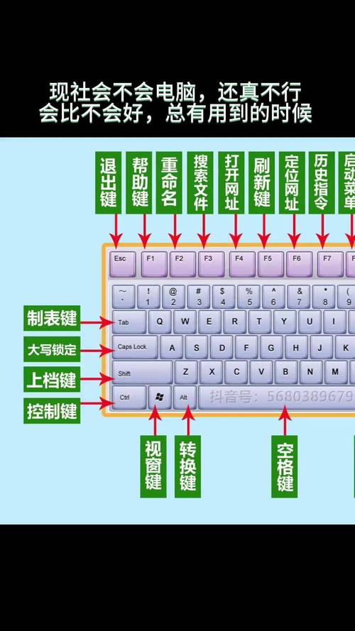 电脑基础知识自学从哪开始学？-第2张图片-指南针培训网