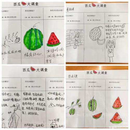 西瓜课程如何让孩子玩中学？-第3张图片-指南针培训网