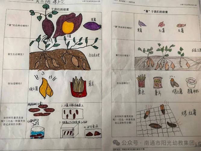 幼儿园红薯课程故事藏着哪些教育密码？-第2张图片-指南针培训网