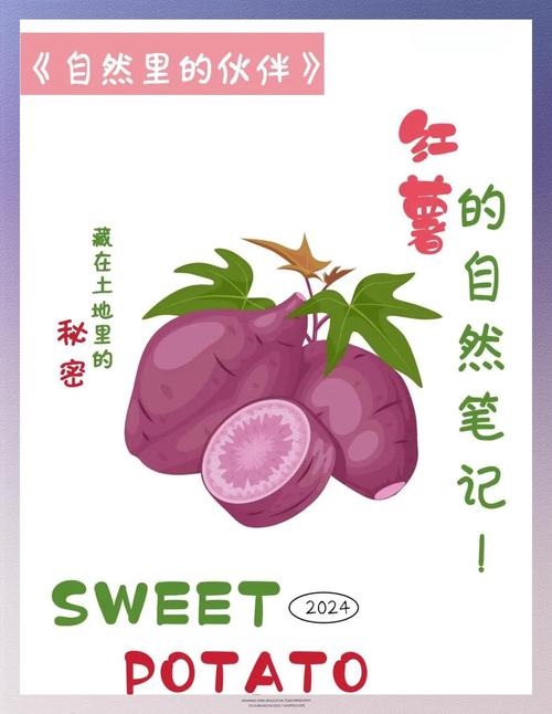 幼儿园红薯课程故事藏着哪些教育密码？-第1张图片-指南针培训网