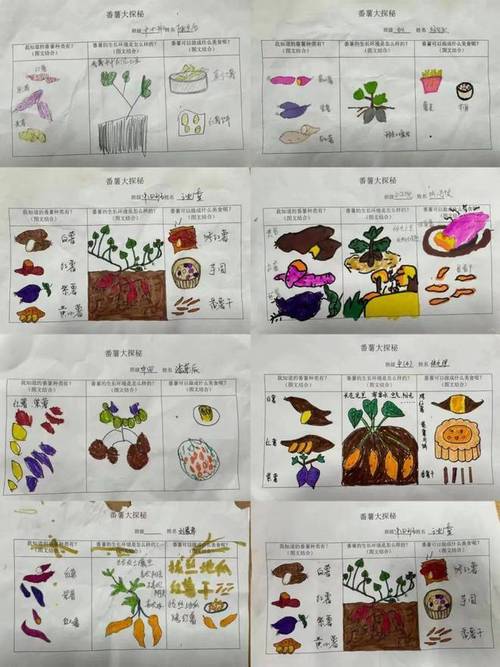 幼儿园红薯课程故事藏着哪些教育密码？-第3张图片-指南针培训网