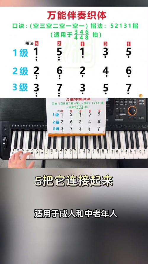 电子钢琴入门自学教程怎么学？-第2张图片-指南针培训网