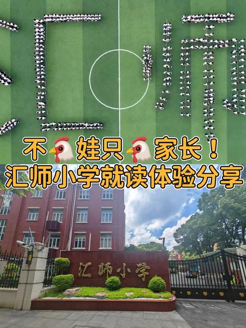 上海徐汇区学前教育网提供哪些服务？-第1张图片-指南针培训网