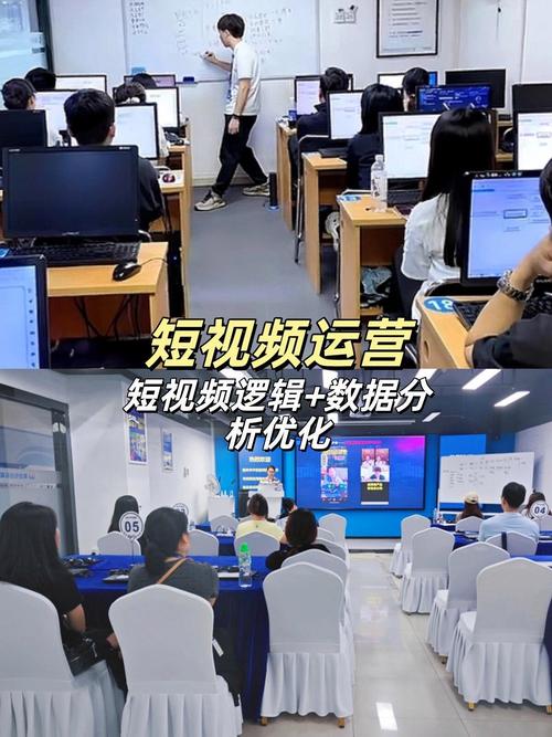 SEO技术培训课程，如何快速提升实战技能？-第1张图片-指南针培训网