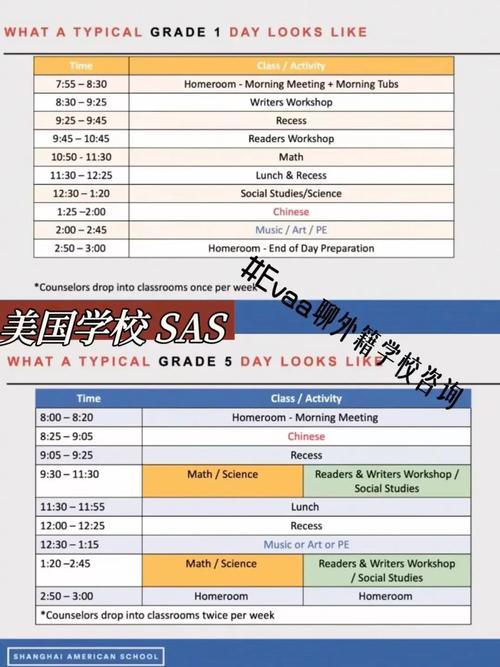 新西兰国际高中课程有哪些优势？-第1张图片-指南针培训网