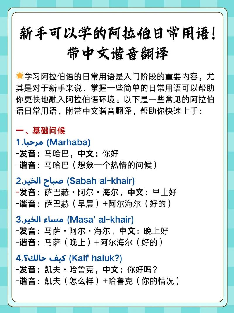 阿拉伯语入门自学速成可行吗？-第1张图片-指南针培训网