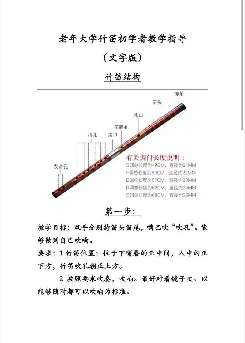 十大最简单自学乐器，哪个最适合新手？-第3张图片-指南针培训网