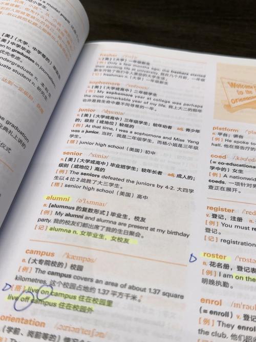 初级雅思课程具体学哪些内容？-第1张图片-指南针培训网