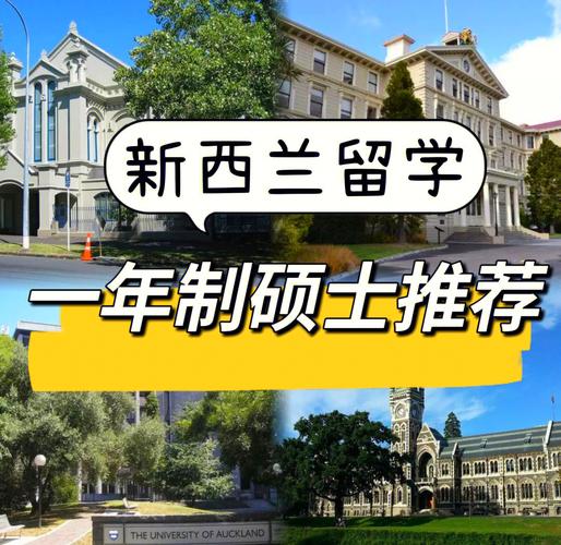 新西兰学前教育研究生如何申请?-第2张图片-指南针培训网 新西兰学前教育研究生如何申请?-第2张图片-指南针培训网