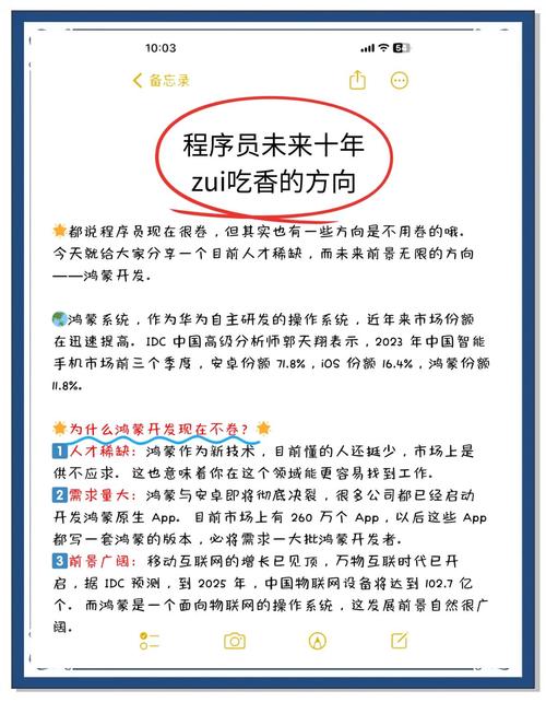 开发人员职业发展该何去何从？-第3张图片-指南针培训网