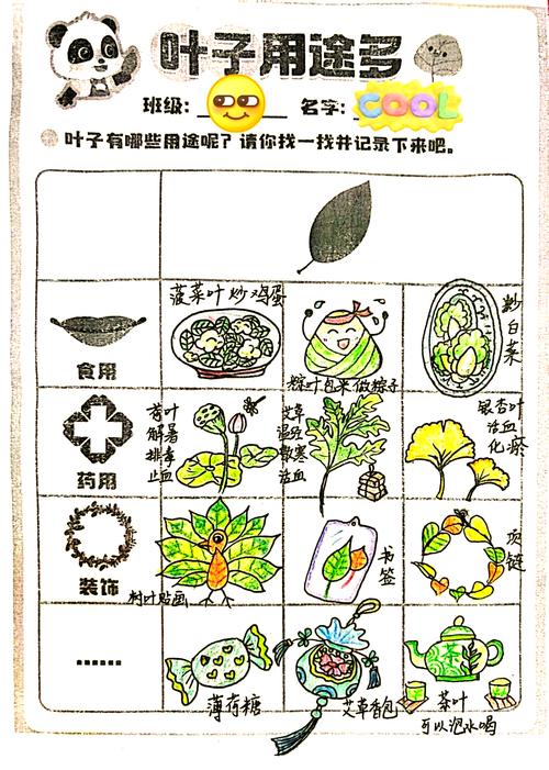 树叶藏着哪些秘密?-第2张图片-指南针培训网 树叶藏着哪些秘密?-第2张图片-指南针培训网