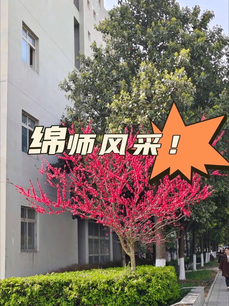 绵阳师范学院学前教育怎么样？-第2张图片-指南针培训网