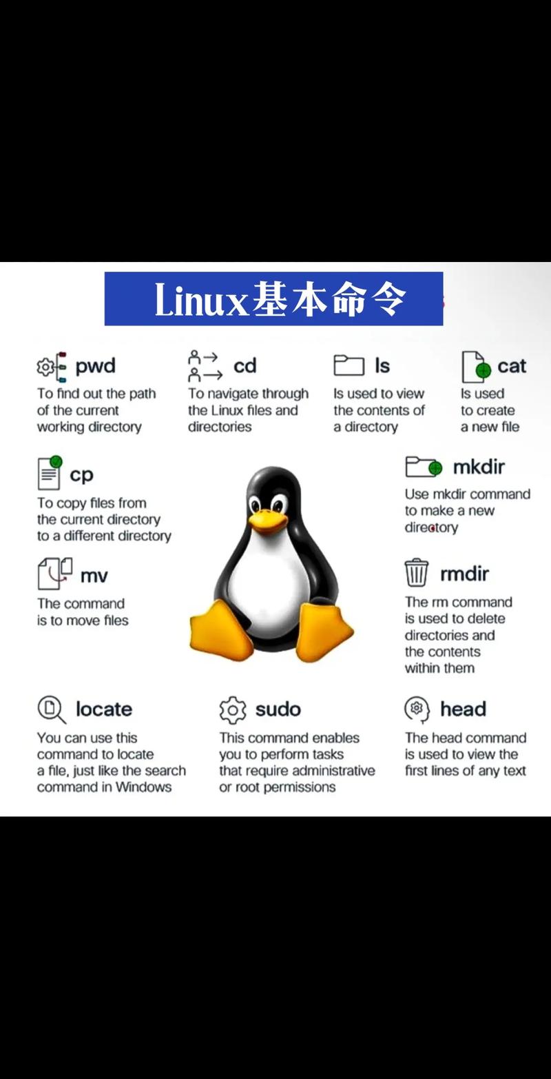 Linux自学视频怎么选？-第2张图片-指南针培训网