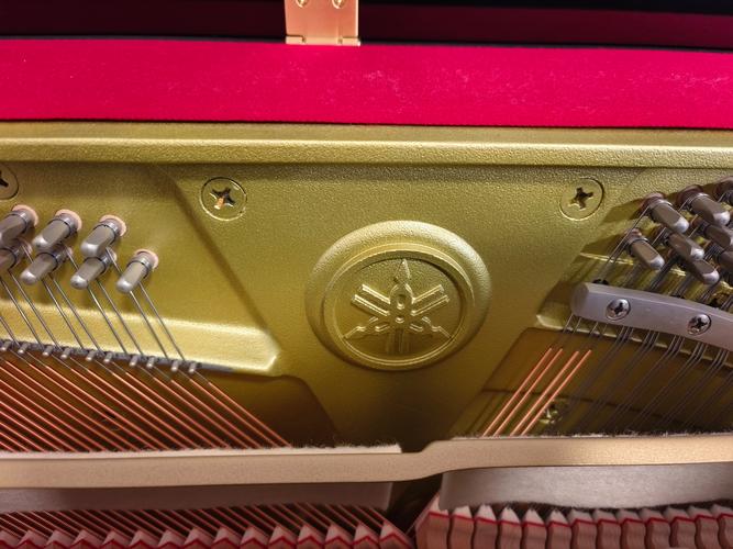 雅马哈儿童基础课程适合几岁孩子学？-第3张图片-指南针培训网