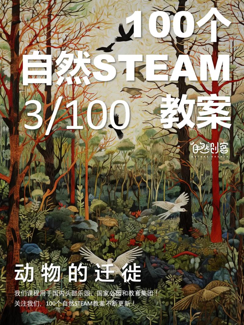 Steam课程如何自学？入门路径是什么？-第3张图片-指南针培训网