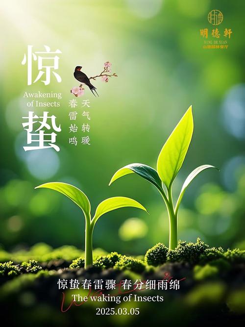 惊蛰节气课程PPT如何设计？-第2张图片-指南针培训网