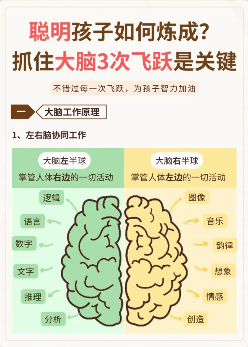 学前儿童右脑开发怎么做？-第2张图片-指南针培训网