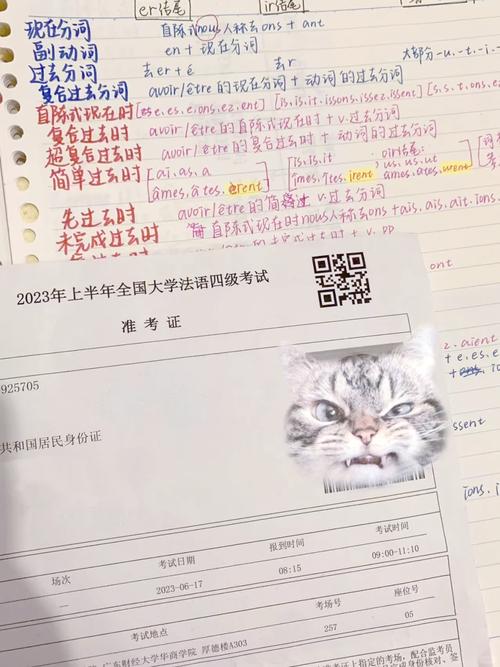 法语四级自学难度大吗？-第1张图片-指南针培训网