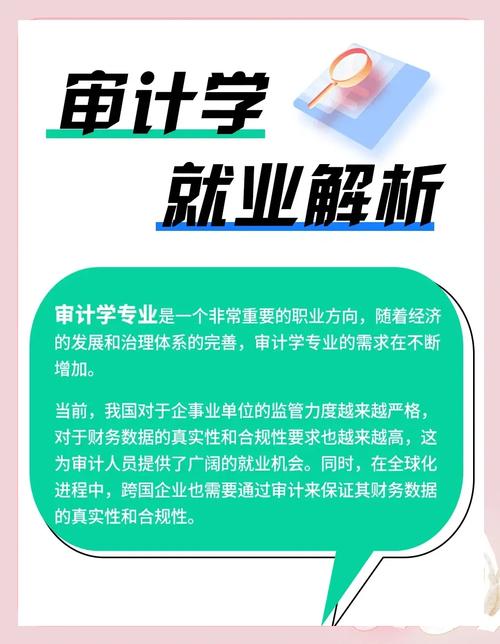 审计职业发展期望有哪些关键方向？-第2张图片-指南针培训网