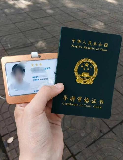 自学考导游证需要多长时间？-第2张图片-指南针培训网